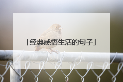 经典感悟生活的句子