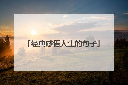 经典感悟人生的句子