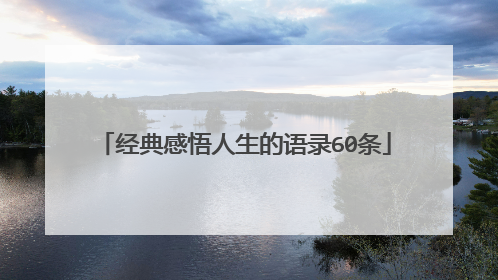 经典感悟人生的语录60条