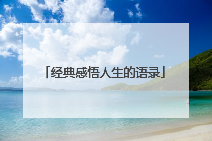 经典感悟人生的语录