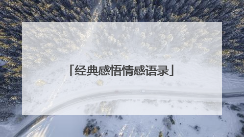 经典感悟情感语录