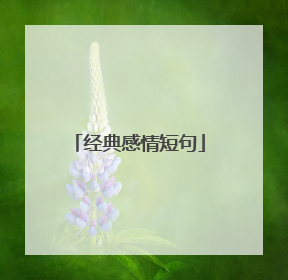 经典感情短句