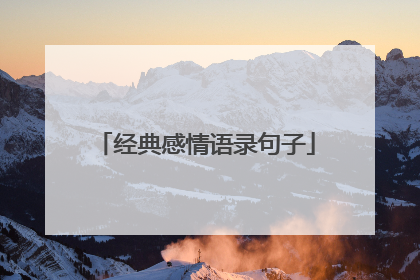经典感情语录句子