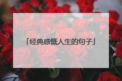 经典感慨人生的句子
