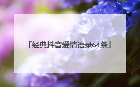 经典抖音爱情语录64条