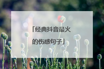 经典抖音最火的伤感句子