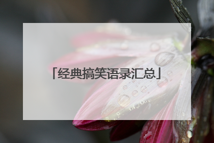 经典搞笑语录汇总