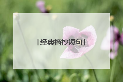 经典摘抄短句