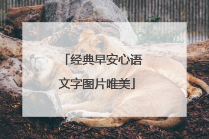 经典早安心语文字图片唯美