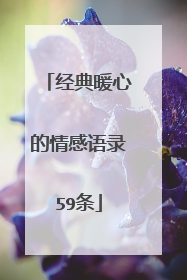 经典暖心的情感语录59条