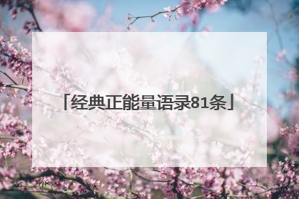 经典正能量语录81条
