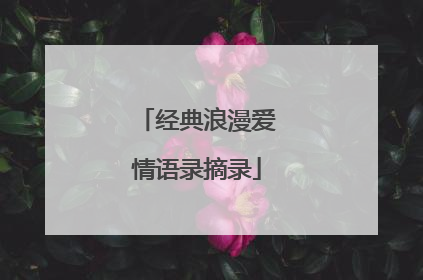 经典浪漫爱情语录摘录
