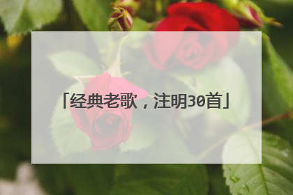 经典老歌,注明30首