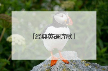 经典英语诗歌