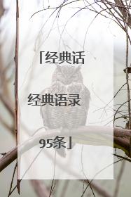 经典话经典语录95条