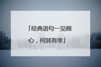 经典语句一见倾心，何其有幸