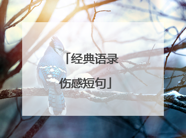 经典语录伤感短句