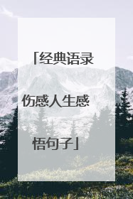 经典语录伤感人生感悟句子