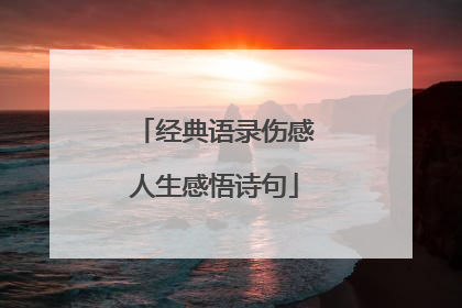 经典语录伤感人生感悟诗句
