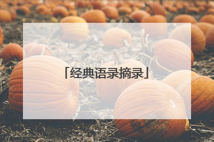 经典语录摘录