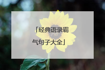 经典语录霸气句子大全