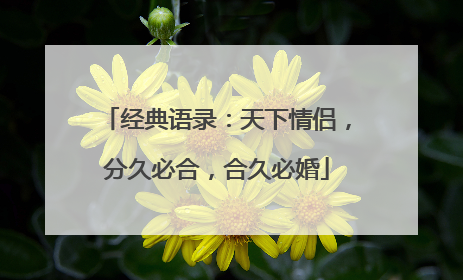 经典语录：天下情侣，分久必合，合久必婚