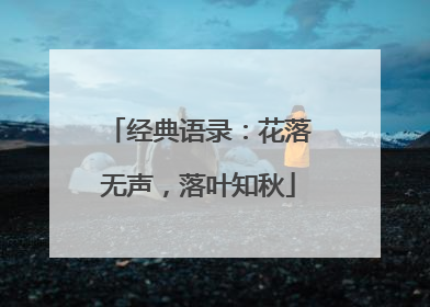 经典语录:花落无声,落叶知秋
