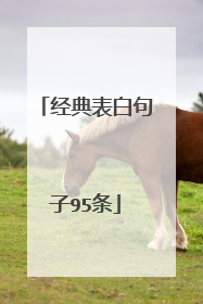 经典表白句子95条