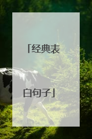 经典表白句子