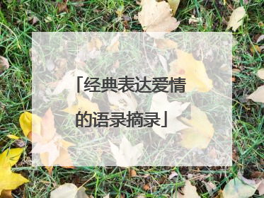 经典表达爱情的语录摘录