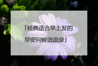 经典适合早上发的早安问候语语录