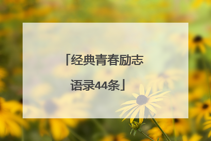 经典青春励志语录44条