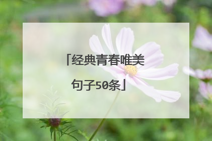 经典青春唯美句子50条