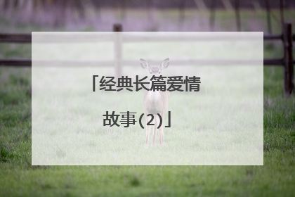 经典长篇爱情故事(2)