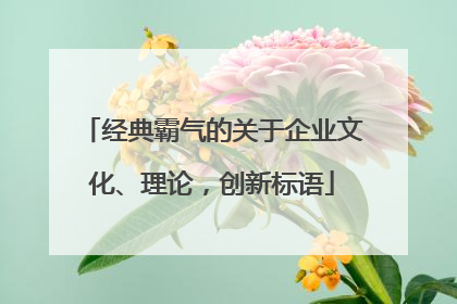 经典霸气的关于企业文化、理论，创新标语