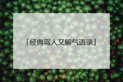 经典骂人又解气语录