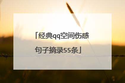 经典qq空间伤感句子摘录55条