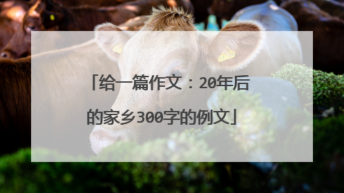 给一篇作文：20年后的家乡300字的例文