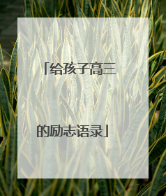 给孩子高三的励志语录