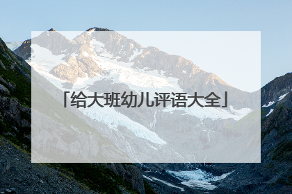 给大班幼儿评语大全