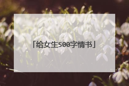 给女生500字情书
