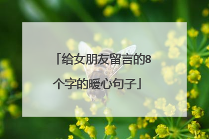 给女朋友留言的8个字的暖心句子