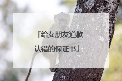 给女朋友道歉认错的保证书