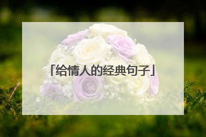给情人的经典句子