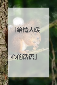 给情人暖心的话语