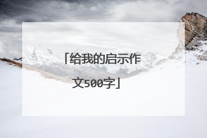 给我的启示作文500字