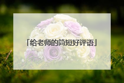 给老师的简短好评语