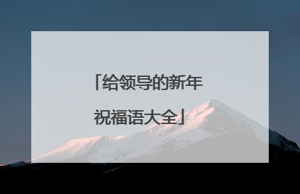 给领导的新年祝福语大全
