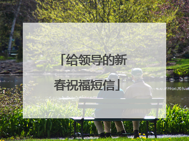 给领导的新春祝福短信