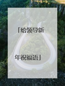 给领导新年祝福语